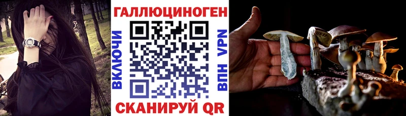 магазин  наркотиков  Тайга  Псилоцибиновые грибы MAGIC MUSHROOMS 