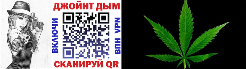 Канабис план  Тайга 